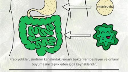 Kilo Vermek ve Bağırsak Sağlığı: Bağırsak Mikrobiyotasının Kilo Kontrolündeki Rolü